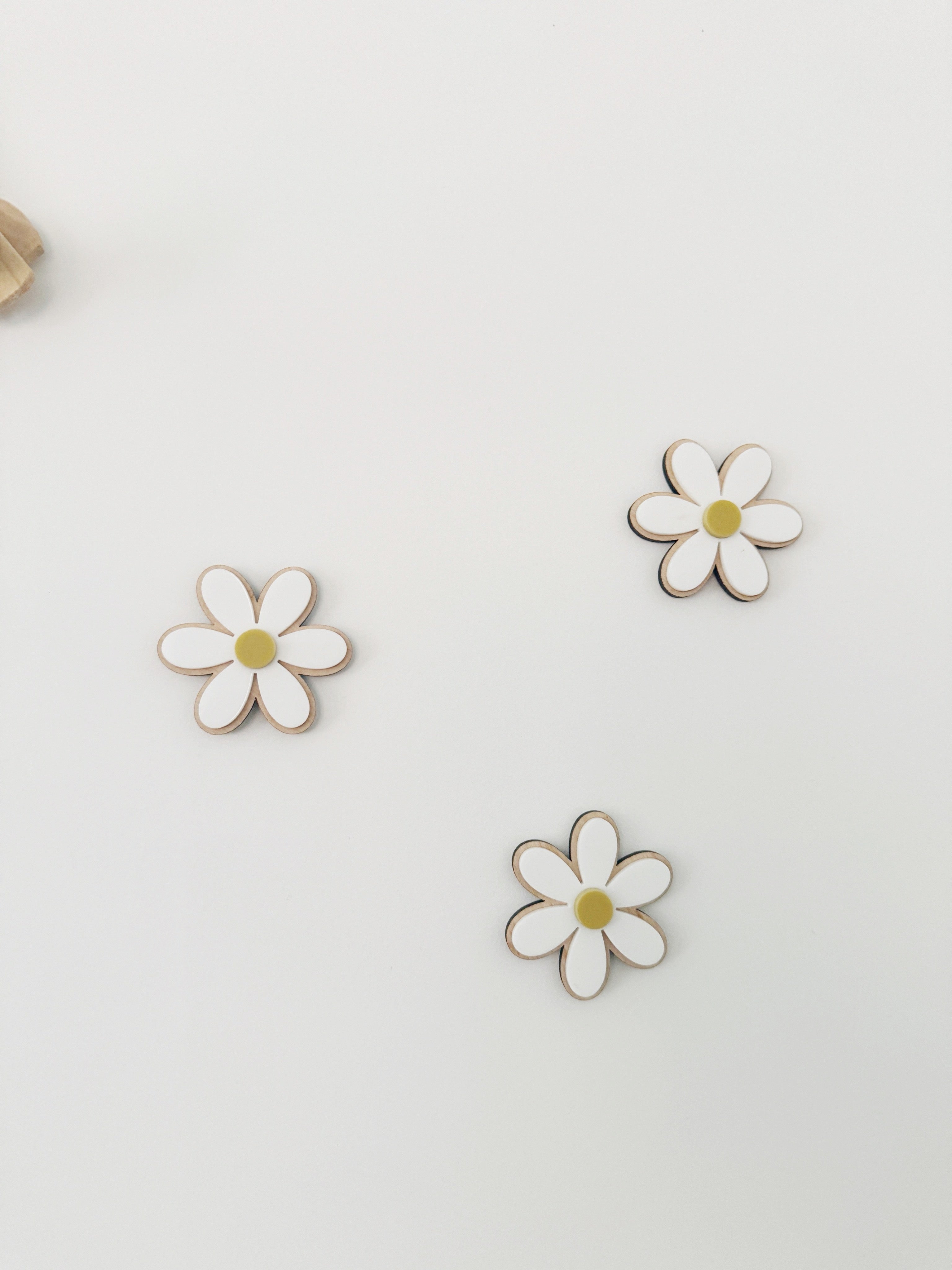 Acrylic wall daisies (set of 5)