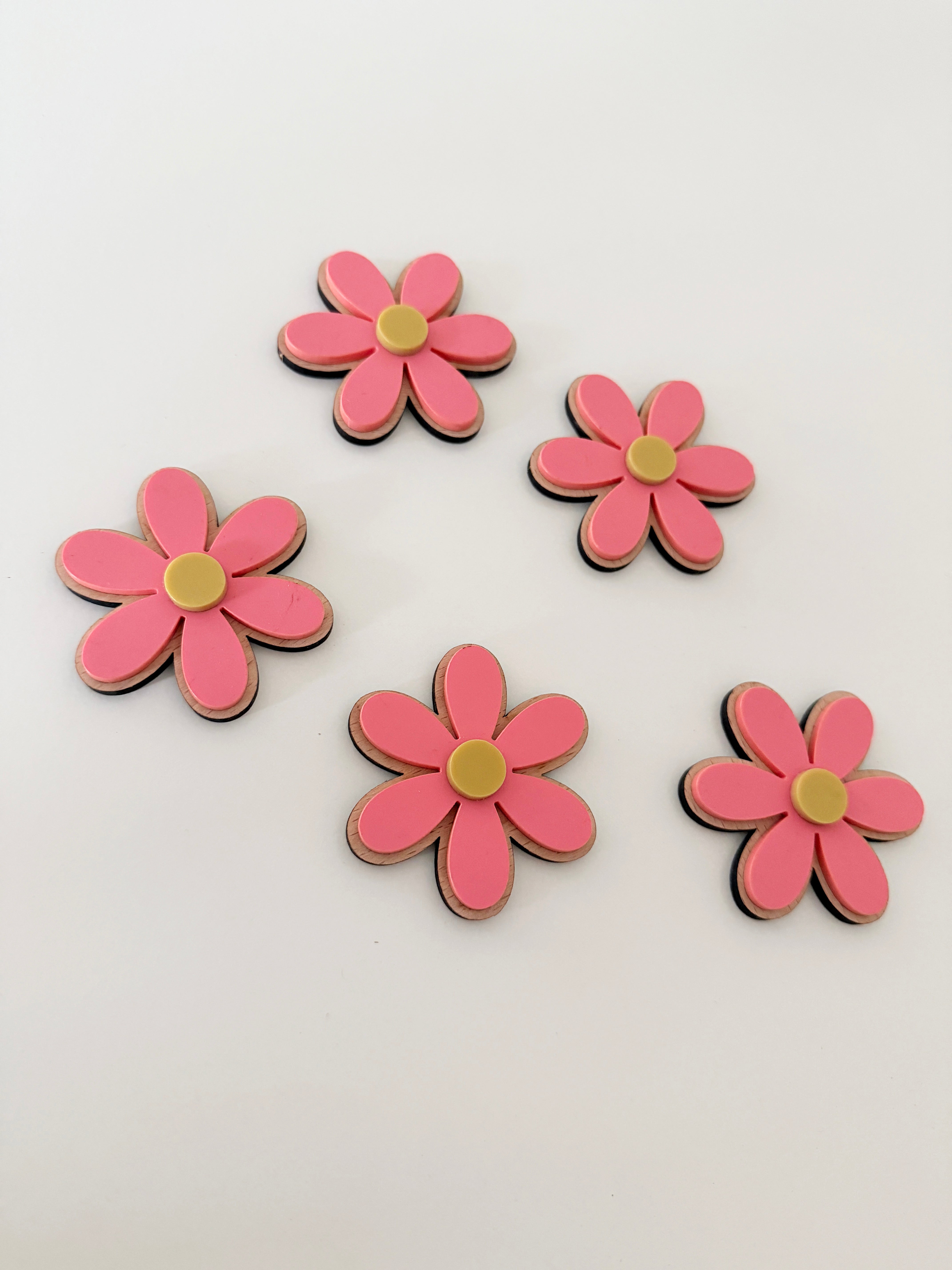 Acrylic wall daisies (Set of 5) - Coloured