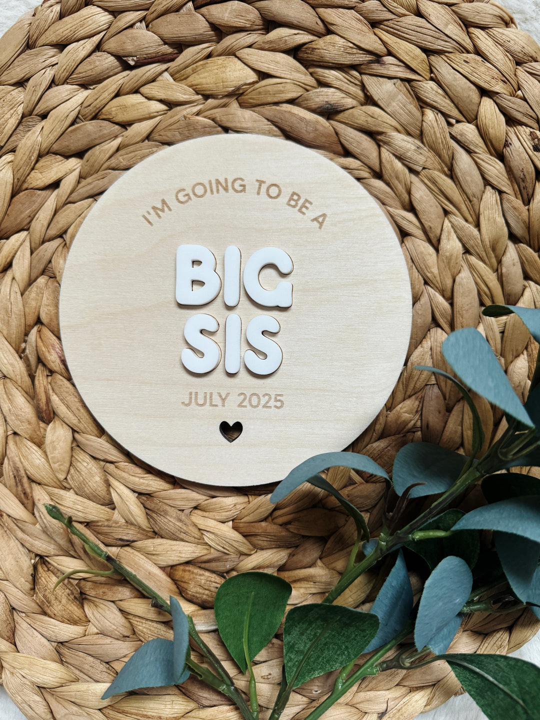 Big Sis pregnancy announcement disc