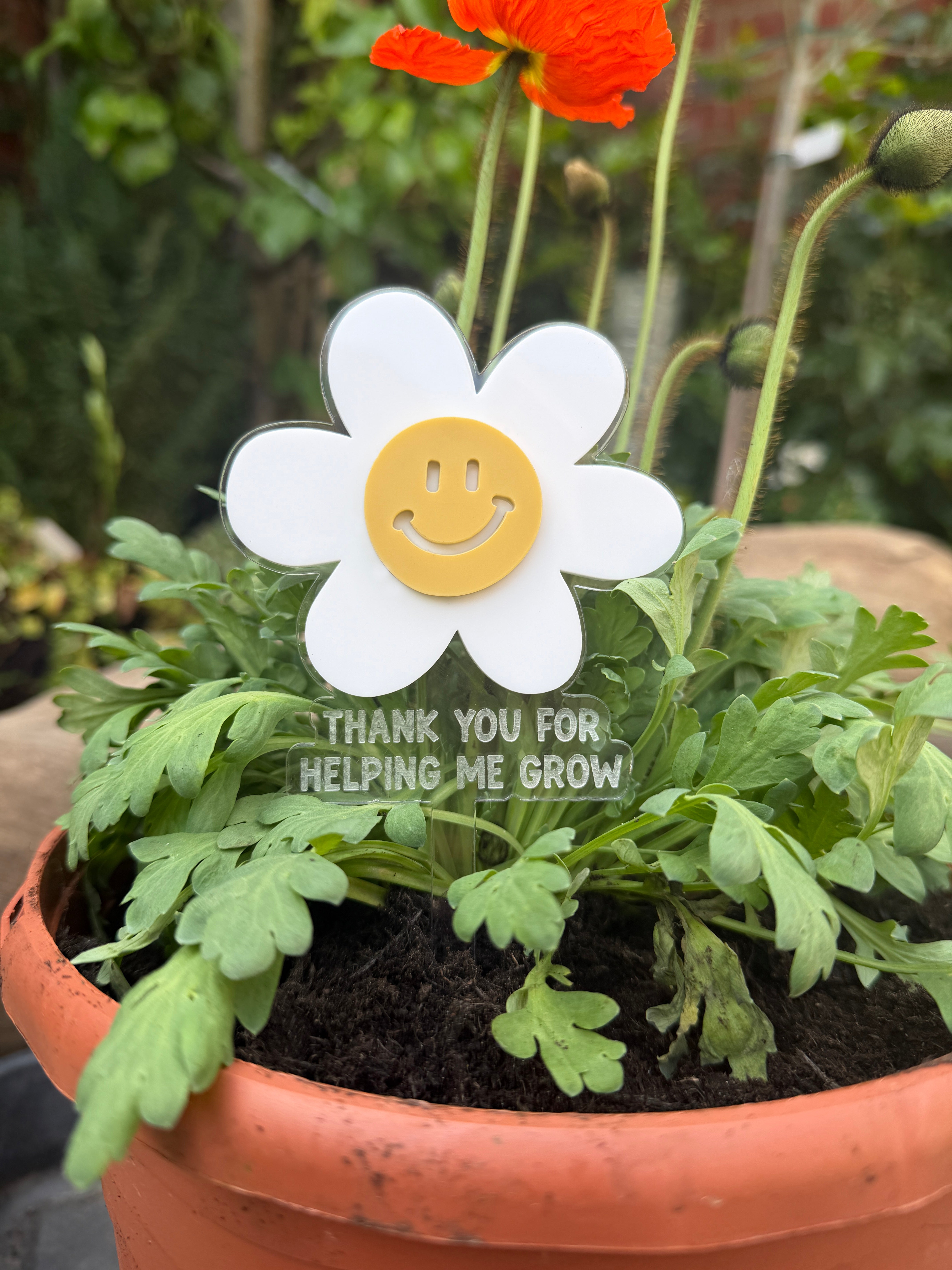 Daisy plant stake