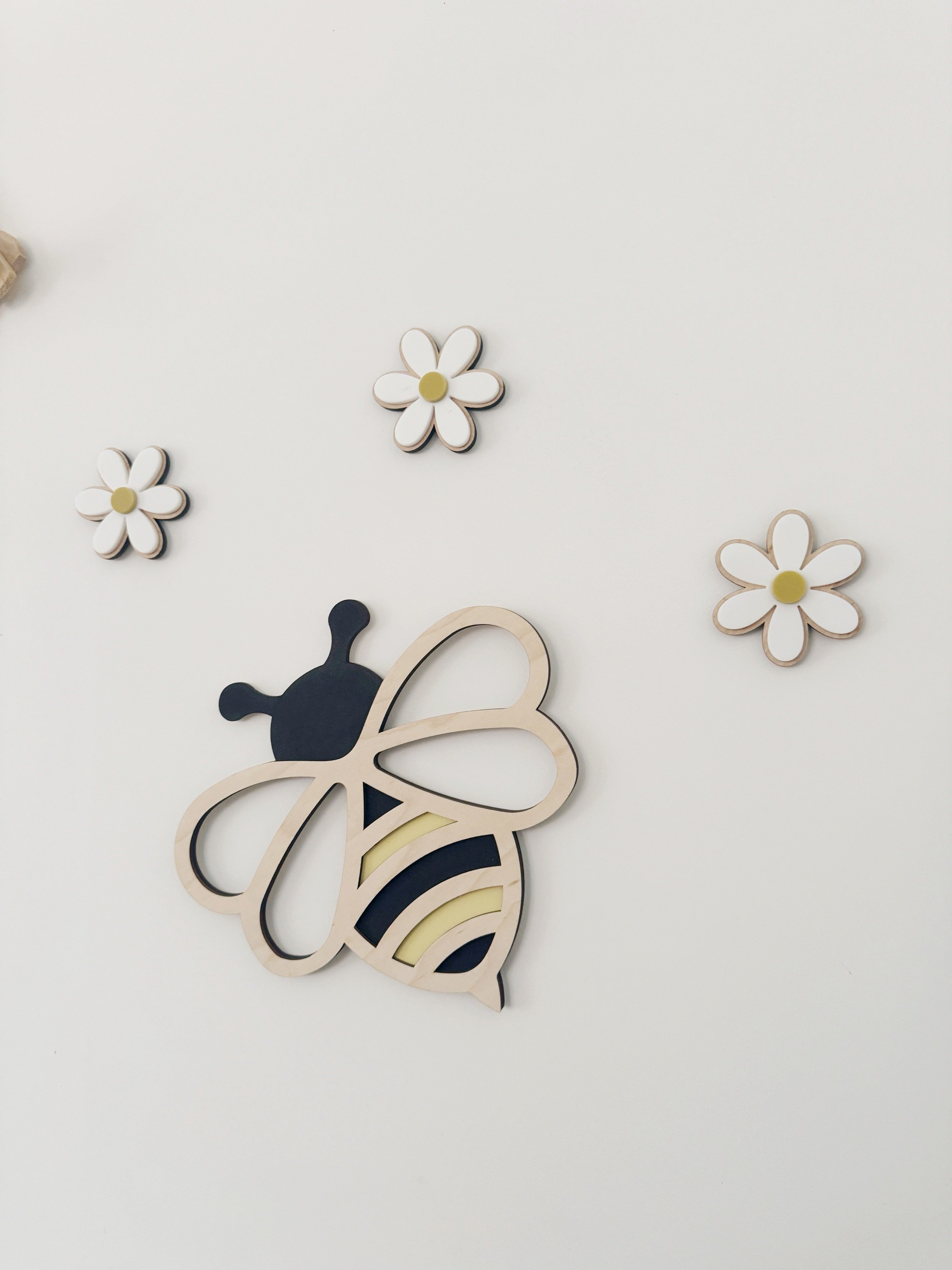 Acrylic wall daisies (set of 5)