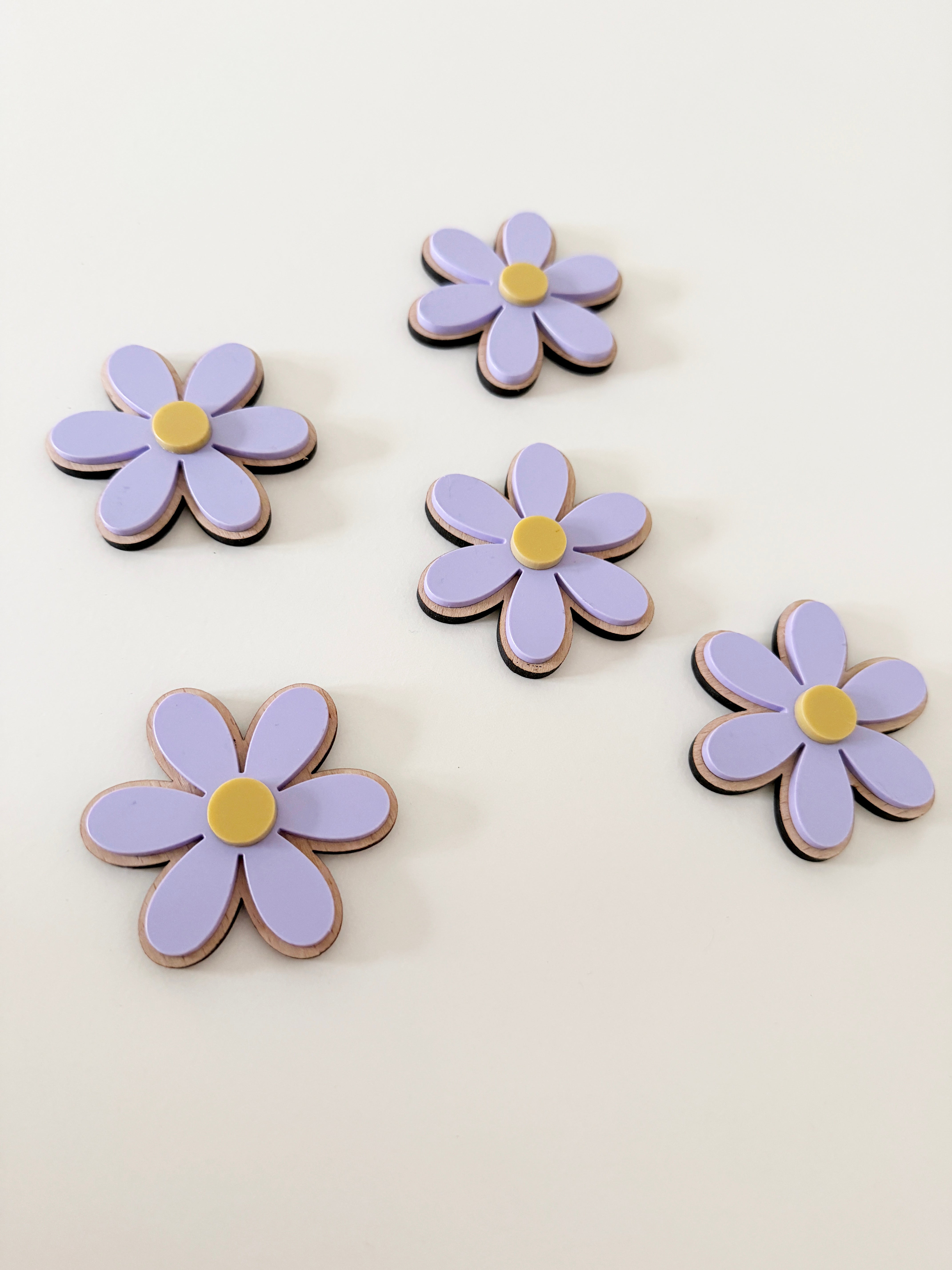Acrylic wall daisies (Set of 5) - Coloured