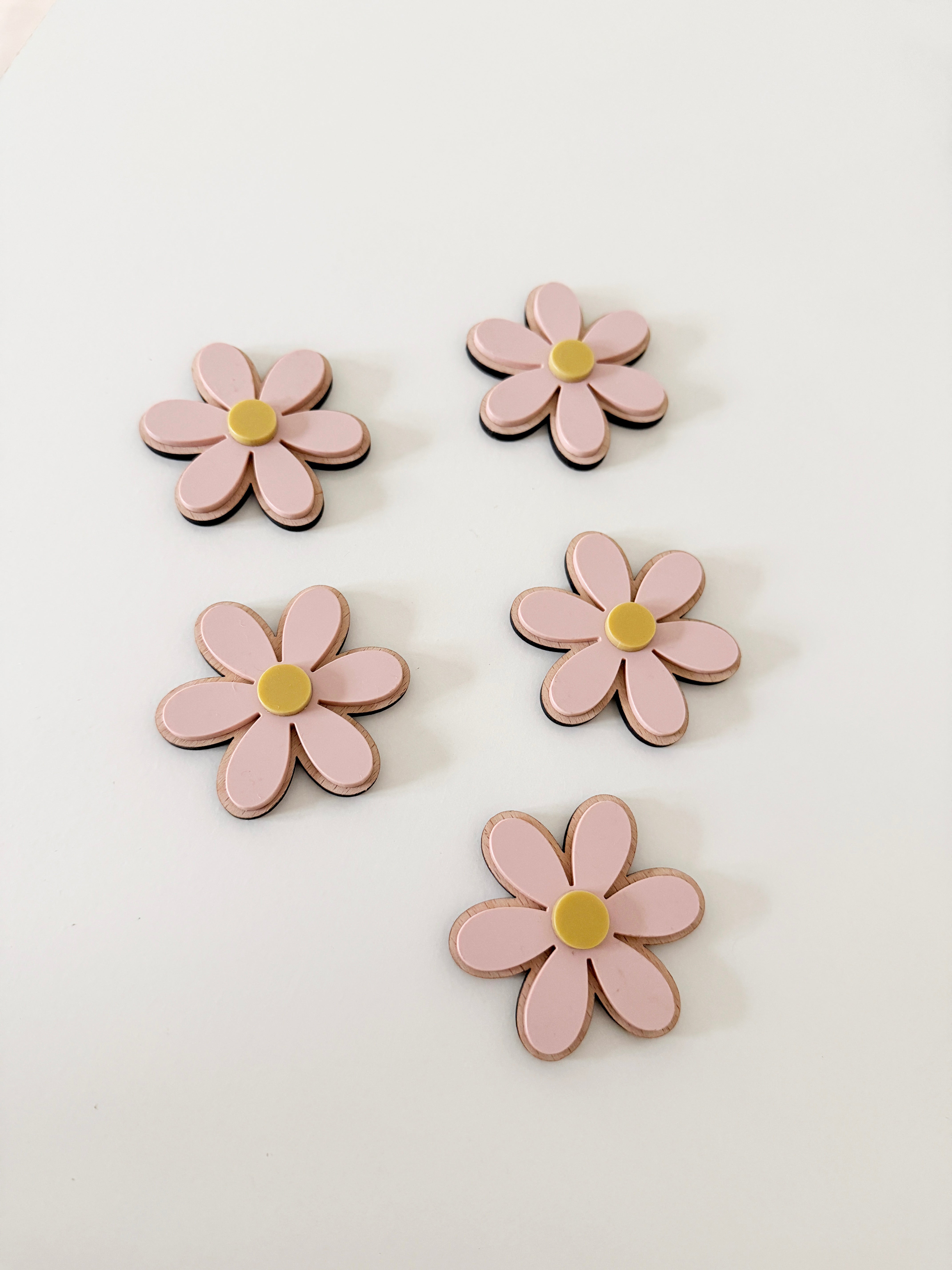 Acrylic wall daisies (Set of 5) - Coloured
