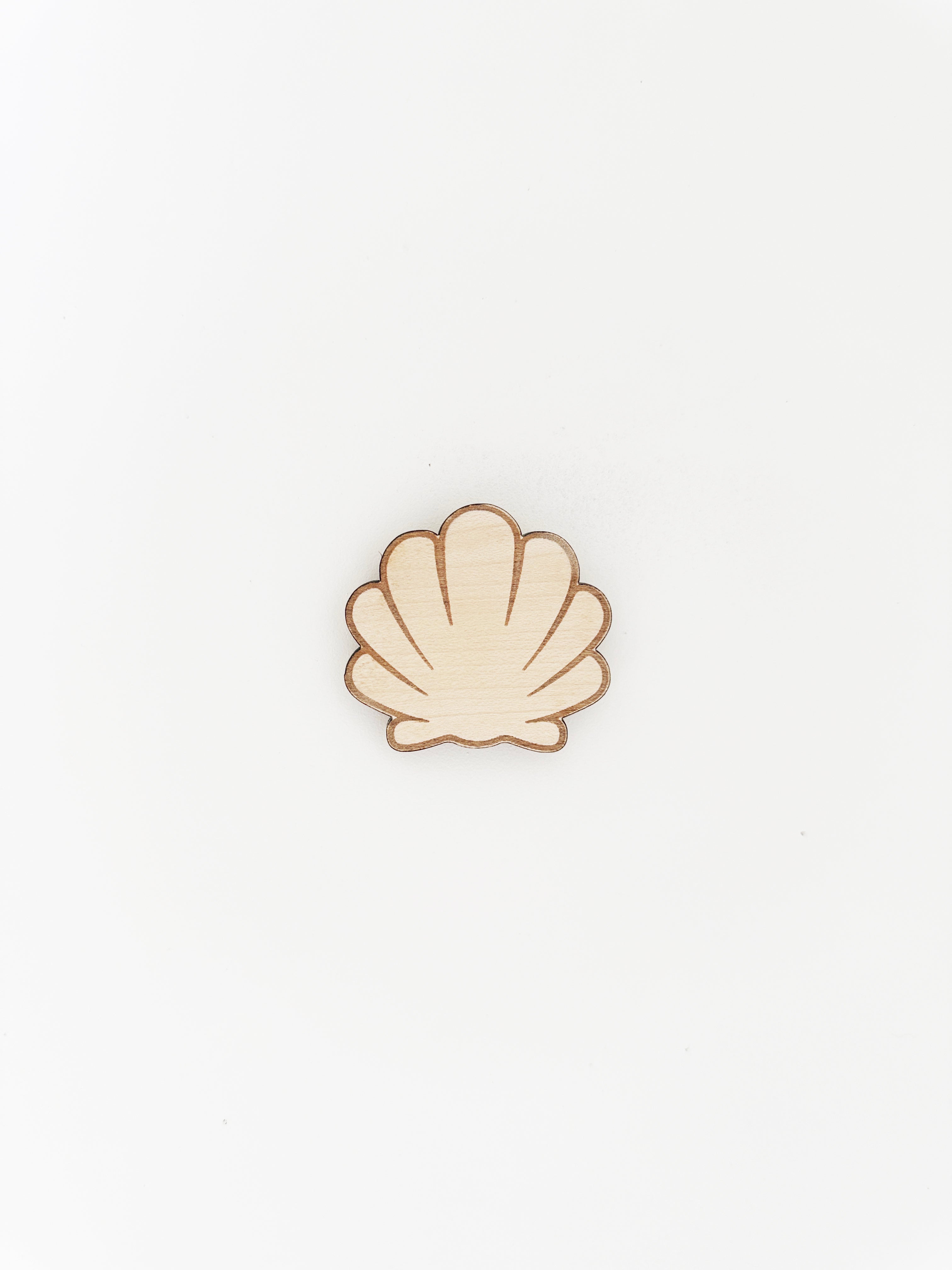 Shell Wall Hook