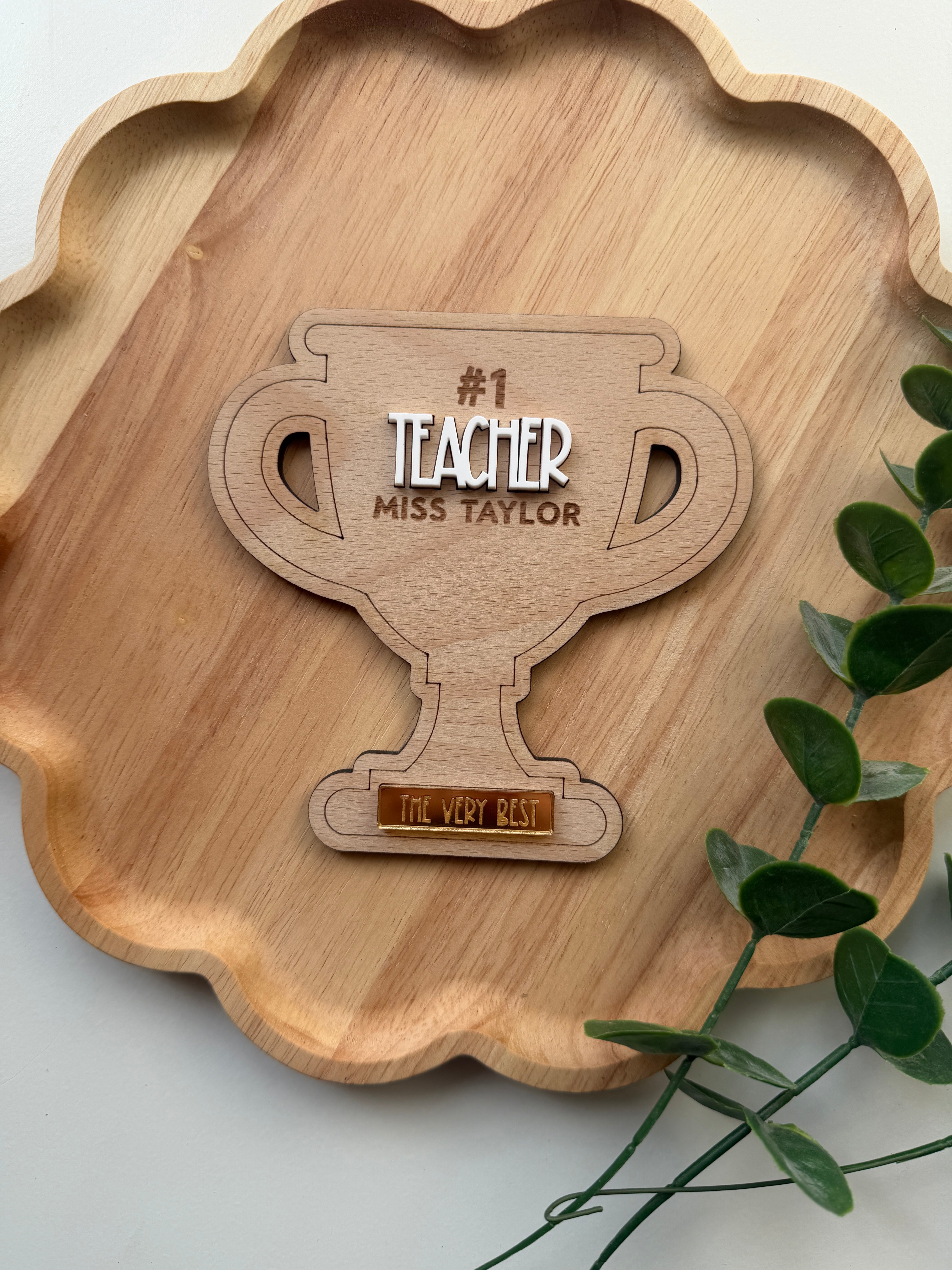 Personalised Teacher trophy shelf sitter